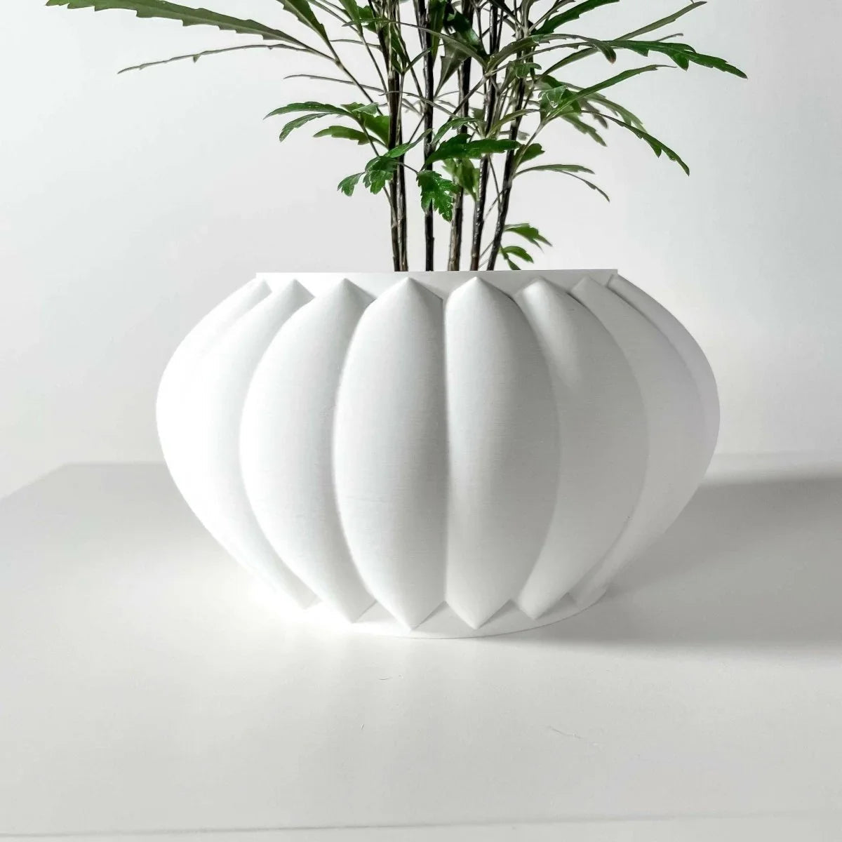 Vaso de Plantas Bunos