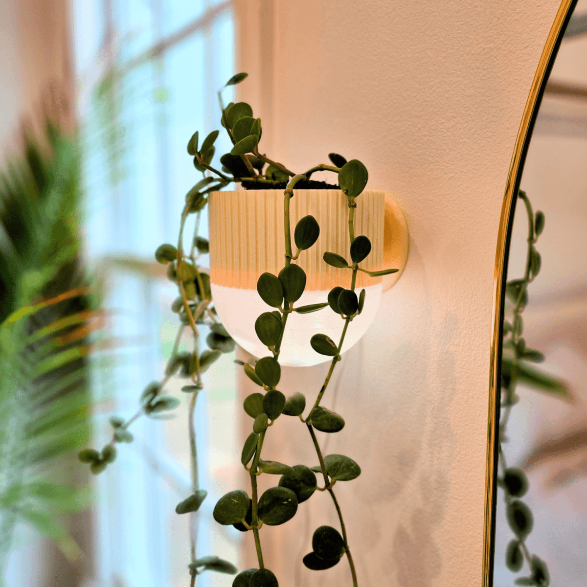 Arandela com Vaso de Plantas EcoDesign