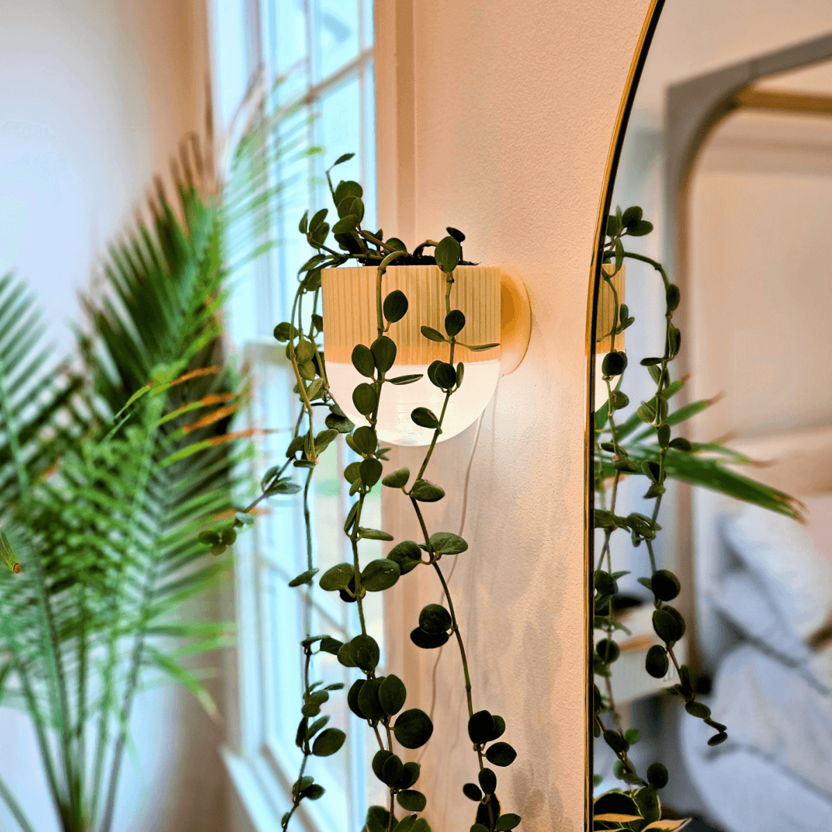 Arandela com Vaso de Plantas EcoDesign